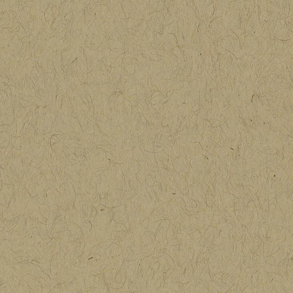 10141926.jpg img